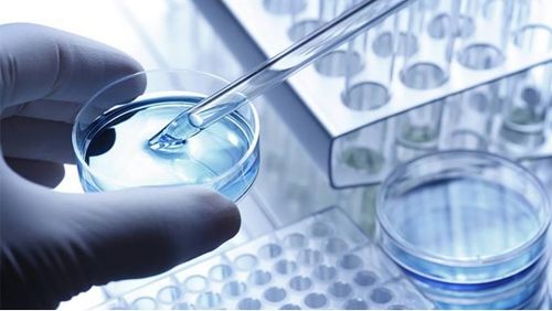 龍池牡丹 緊抓二產(chǎn)，深挖科研，以技術(shù)服務(wù)驅(qū)動(dòng)牡丹精品駛?cè)胧袌?chǎng)藍(lán)海